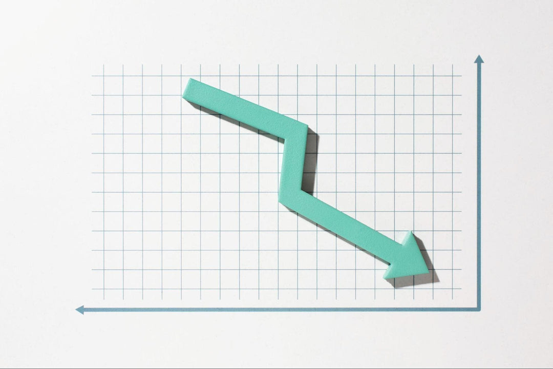 LVMH Reports 5 Per Cent Decline in 2025 Sales